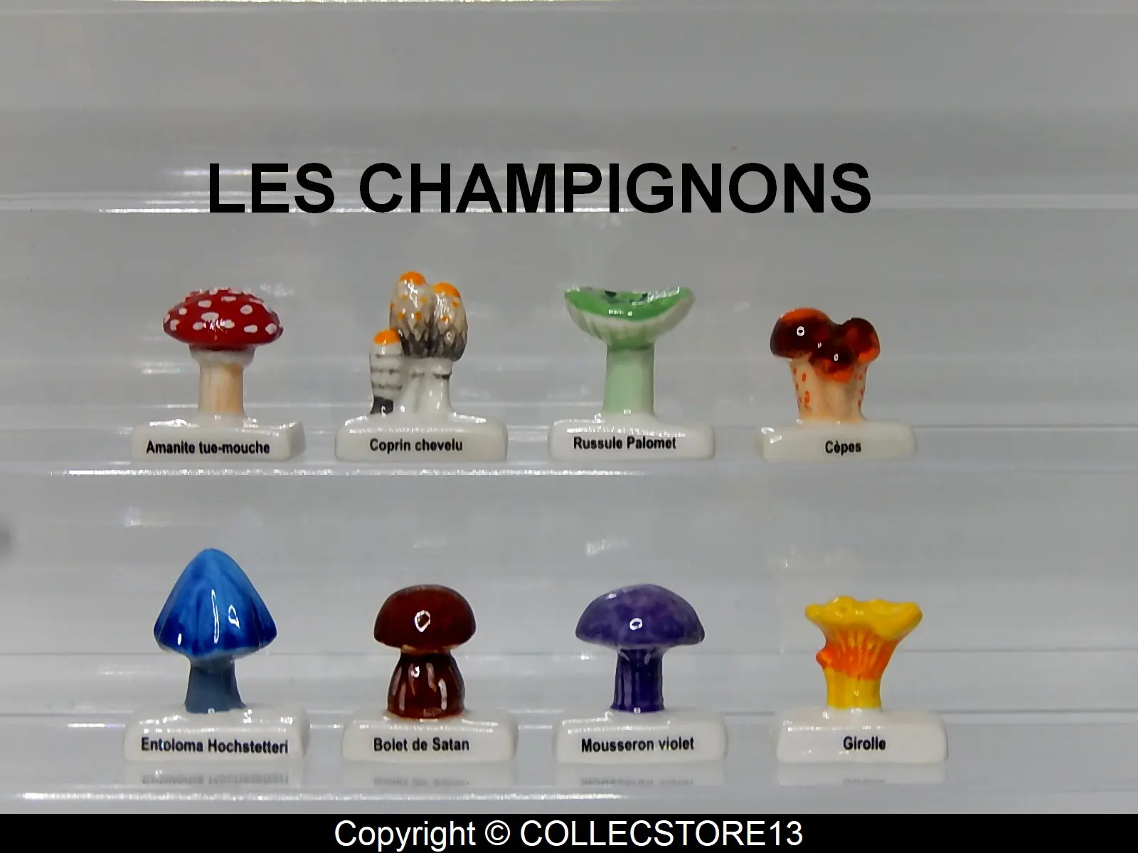 SERIE COMPLETE DE FEVES LES CHAMPIGNONS 2023 - Fèves de collection -  CollectStore