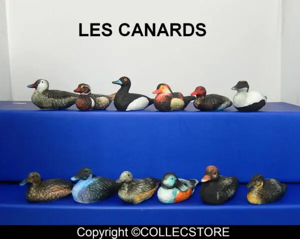 DVO7 LES CANARDS MAT