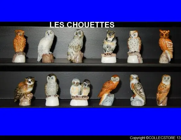 DVO7 LES CHOUETTES ET HIBOUX