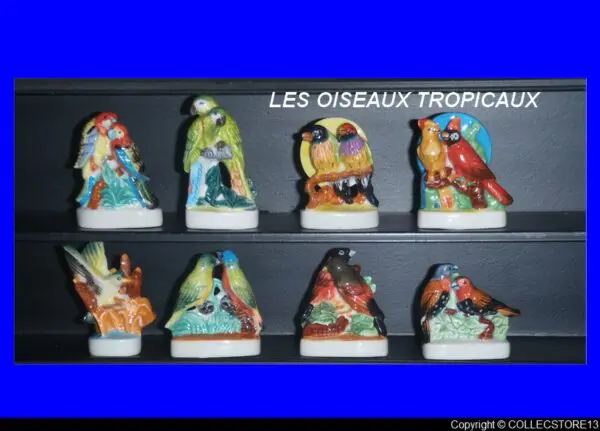 DVO7 LES OISEAUX TROPICAUX