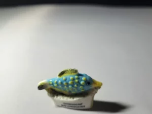 S2T7 FEVE A L'UNITE LES POISSONS