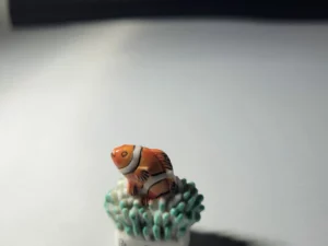 S2T7 FEVE A L'UNITE LES POISSONS