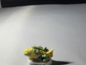 S2T7 FEVE A L'UNITE LES POISSONS