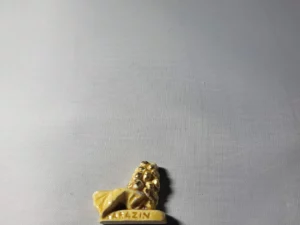 S1T1 FEVE A L'UNITE LES GRAINES