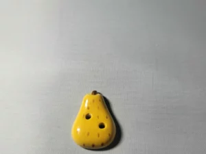 S1T1 FEVE A L'UNITE LES FRUITS