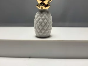 S3T1 FEVE A L'UNITE LES ANANAS