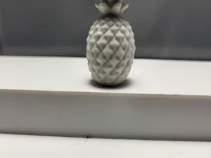 S3T1 FEVE A L'UNITE LES ANANAS