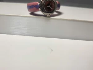 S3T4 FEVE A L'UNITE LES MONTRES