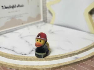 S4T1 FEVE A L'UNITE LES CANARDS