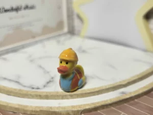 S4T1 FEVE A L'UNITE LES CANARDS