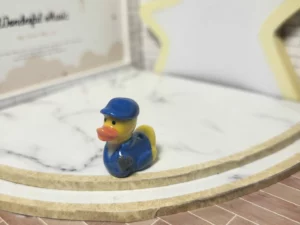 S4T1 FEVE A L'UNITE LES CANARDS