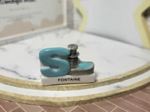 S4T1 FEVE A L'UNITE LES LETTRES DE GEMENOS