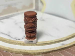 S4T2 FEVE A L'UNITE LES PORTES BOHNEURS