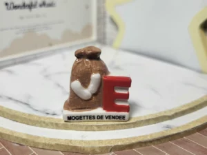 S4T2 FEVE A L'UNITE LA VENDEE