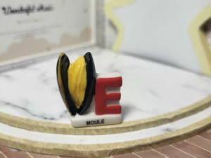 S4T2 FEVE A L'UNITE LA VENDEE