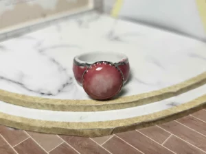 S4T2 FEVE A L'UNITE LES BAGUES