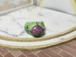 S4T2 FEVE A L'UNITE LES BAGUES