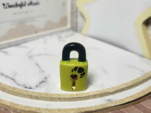 S4T4 FEVE A L'UNITE LES CADENAS