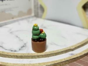 FEVE A L'UNITE 2021 LES CACTUS