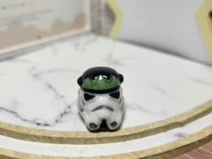 FEVE A L'UNITE 2021 LES STORMTROOPERS