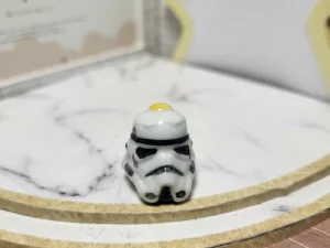 FEVE A L'UNITE 2021 LES STORMTROOPERS