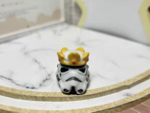 FEVE A L'UNITE 2021 LES STORMTROOPERS