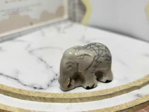 FEVE A L'UNITE 2021 LE RAKU