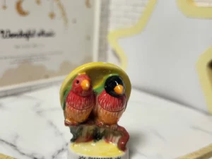 S6T1 FEVE A L'UNITE LES OISEAUX ET PERROQUETS