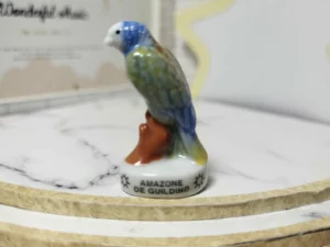 S6T1 FEVE A L'UNITE LES OISEAUX ET PERROQUETS