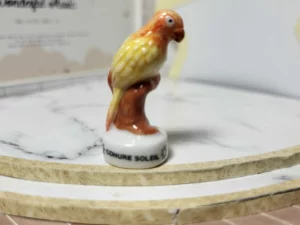 S6T1 FEVE A L'UNITE LES OISEAUX ET PERROQUETS