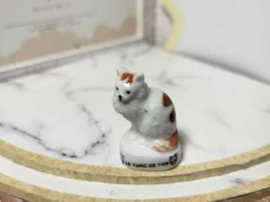 S6T1 FEVE A L'UNITE LES CHATS