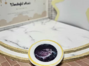 S6T1 FEVE A L'UNITE LES ASSIETTES