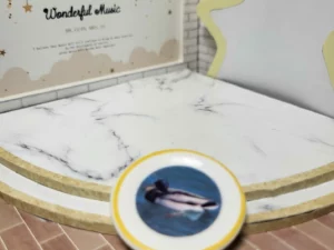 S6T1 FEVE A L'UNITE LES ASSIETTES