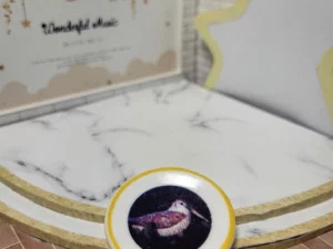 S6T1 FEVE A L'UNITE LES ASSIETTES