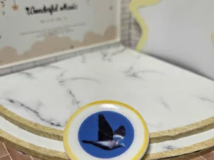 S6T1 FEVE A L'UNITE LES ASSIETTES