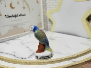 S6T1 FEVE A L'UNITE LES PERROQUETS