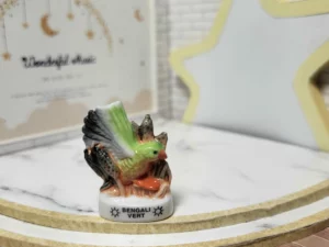 S6T1 FEVE A L'UNITE LES PERROQUETS