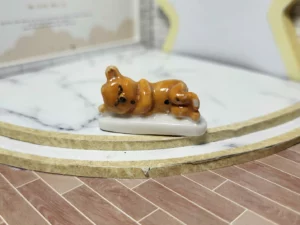 S6T1 FEVE A L'UNITE LES OURSONS