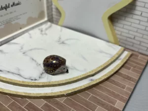 FEVE A L'UNITE 2022 LES STARS DU NET HERISSONS