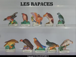 DVO1 LES OISEAUX RAPACES