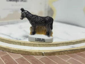 S7T1 FEVE A L'UNITE LES ANES