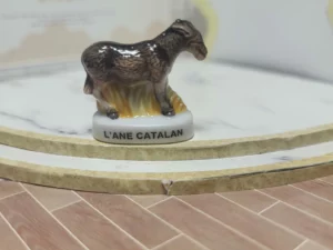 S7T1 FEVE A L'UNITE LES ANES