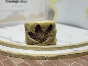 S7T2 FEVE A L'UNITE LES DINOSAURES