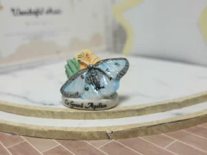 S7T2 FEVE A L'UNITE LES PAPILLONS