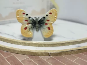 S7T2 FEVE A L'UNITE LES PAPILLONS