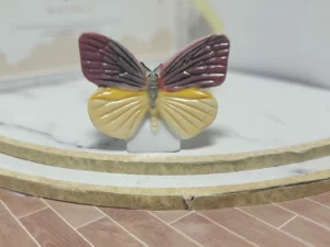 S7T2 FEVE A L'UNITE LES PAPILLONS