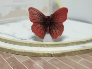 S7T2 FEVE A L'UNITE LES PAPILLONS