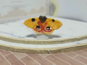 S7T2 FEVE A L'UNITE LES PAPILLONS