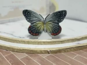 S7T2 FEVE A L'UNITE LES PAPILLONS