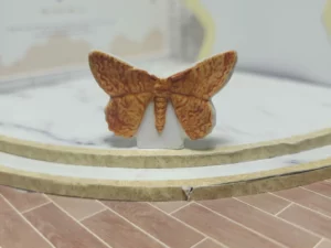 S7T2 FEVE A L'UNITE LES PAPILLONS